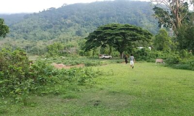 Land for sale in Kaziranga Burapahar Range
